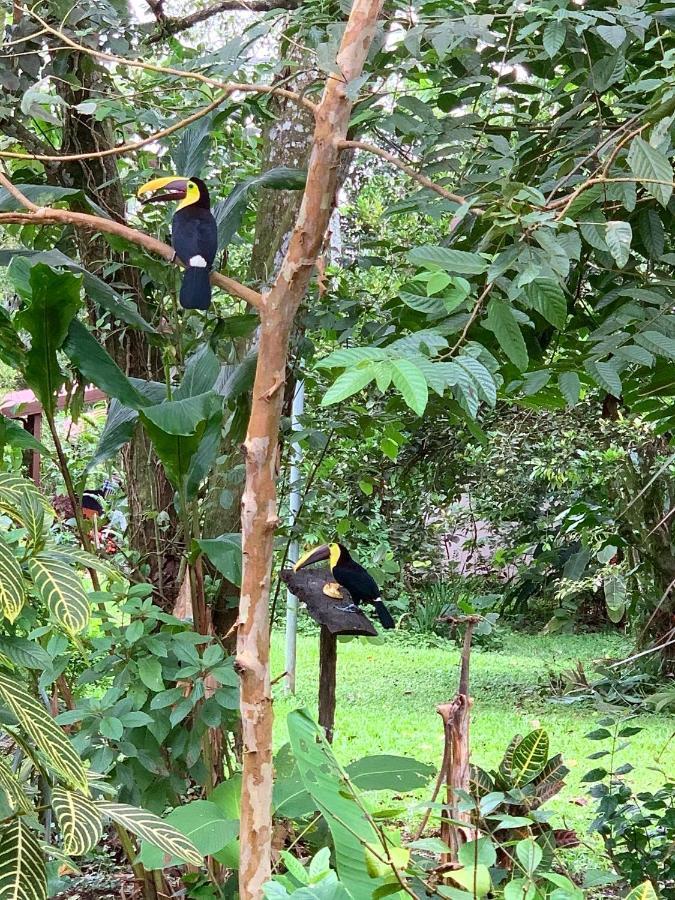 Villa Tucan La Fortuna Kültér fotó